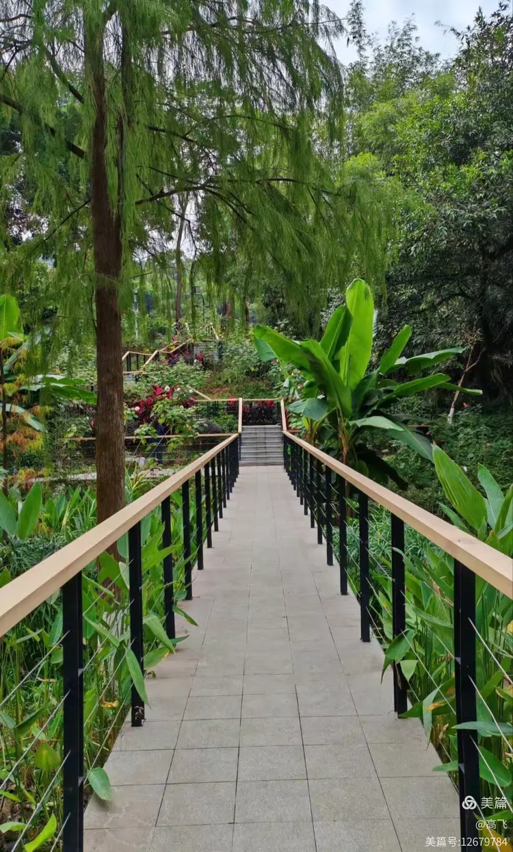 白云永泰乒乓体育公园